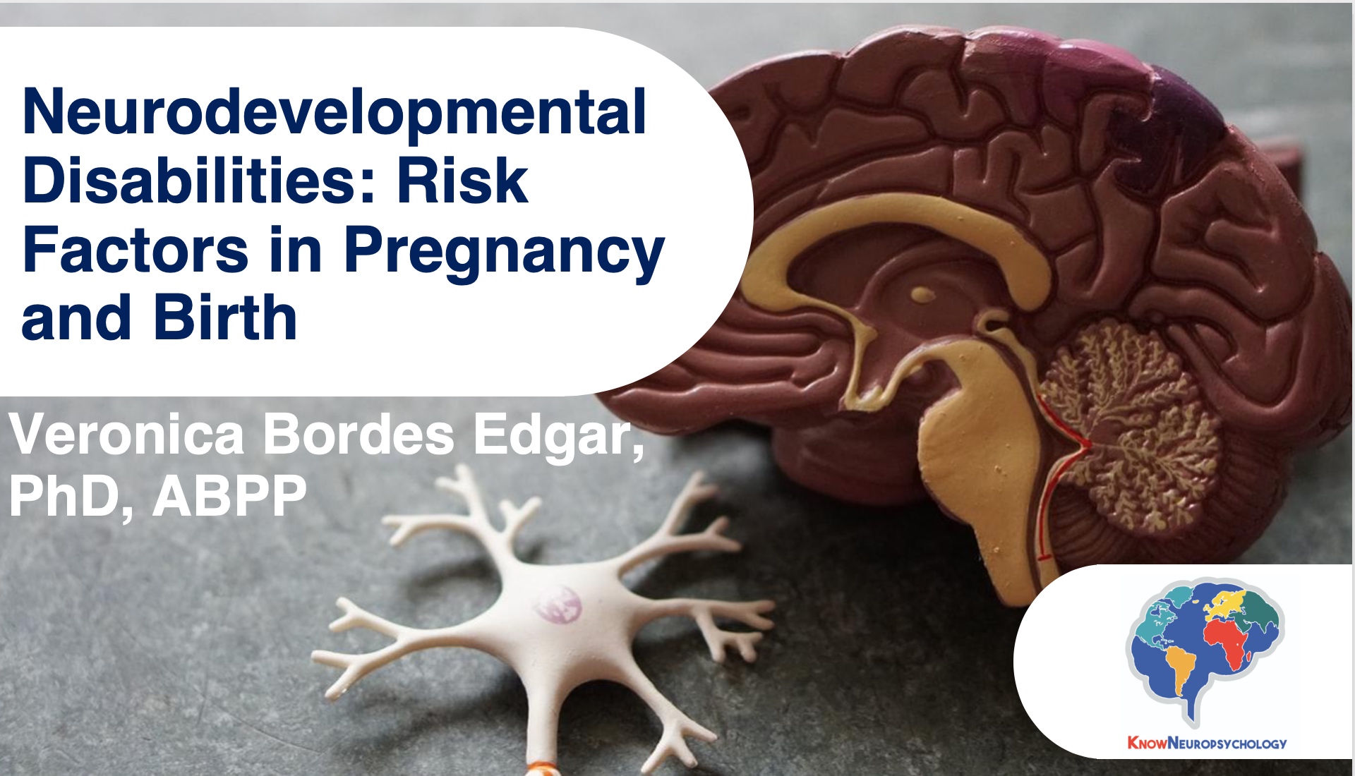 Neurodevelopmental disabilities - risk factors in pregnancy and birth lecture recording