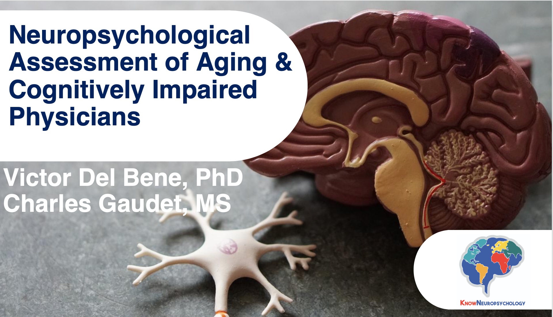neuropsychological assessment of aging and cognitively impaired physicians lecture recording