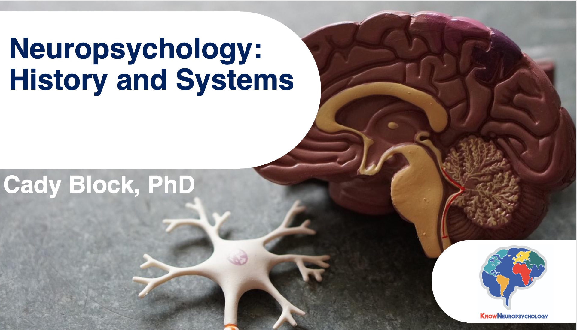 neuropsychology history and systems lecture recording