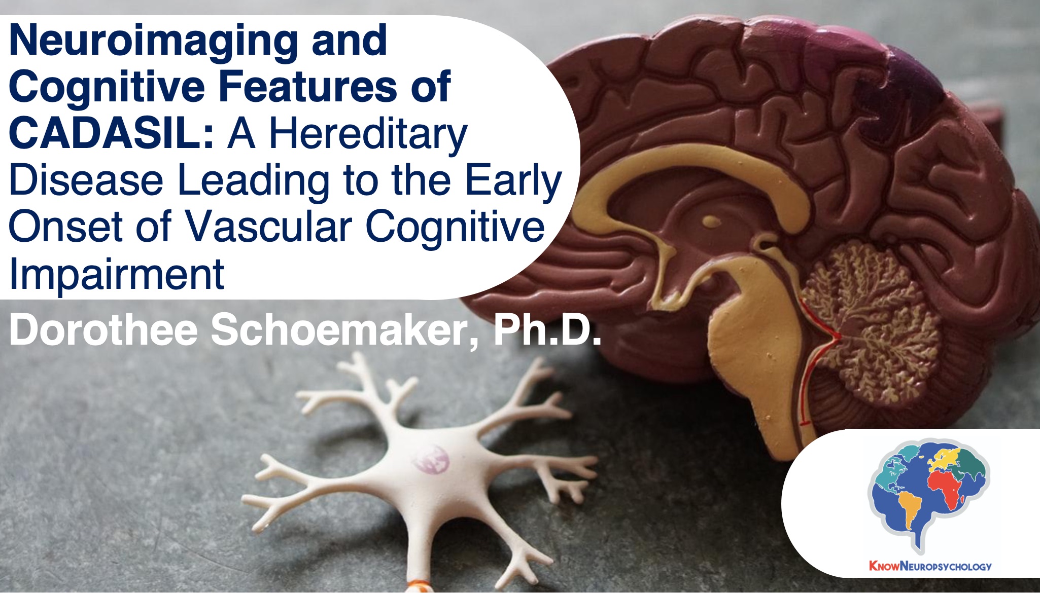 Neuroimaging and cognitive features of CADASIL: A hereditary disease leading to the early onset of vascular cognitive impairment by Dr. Dorothee Schoemaker