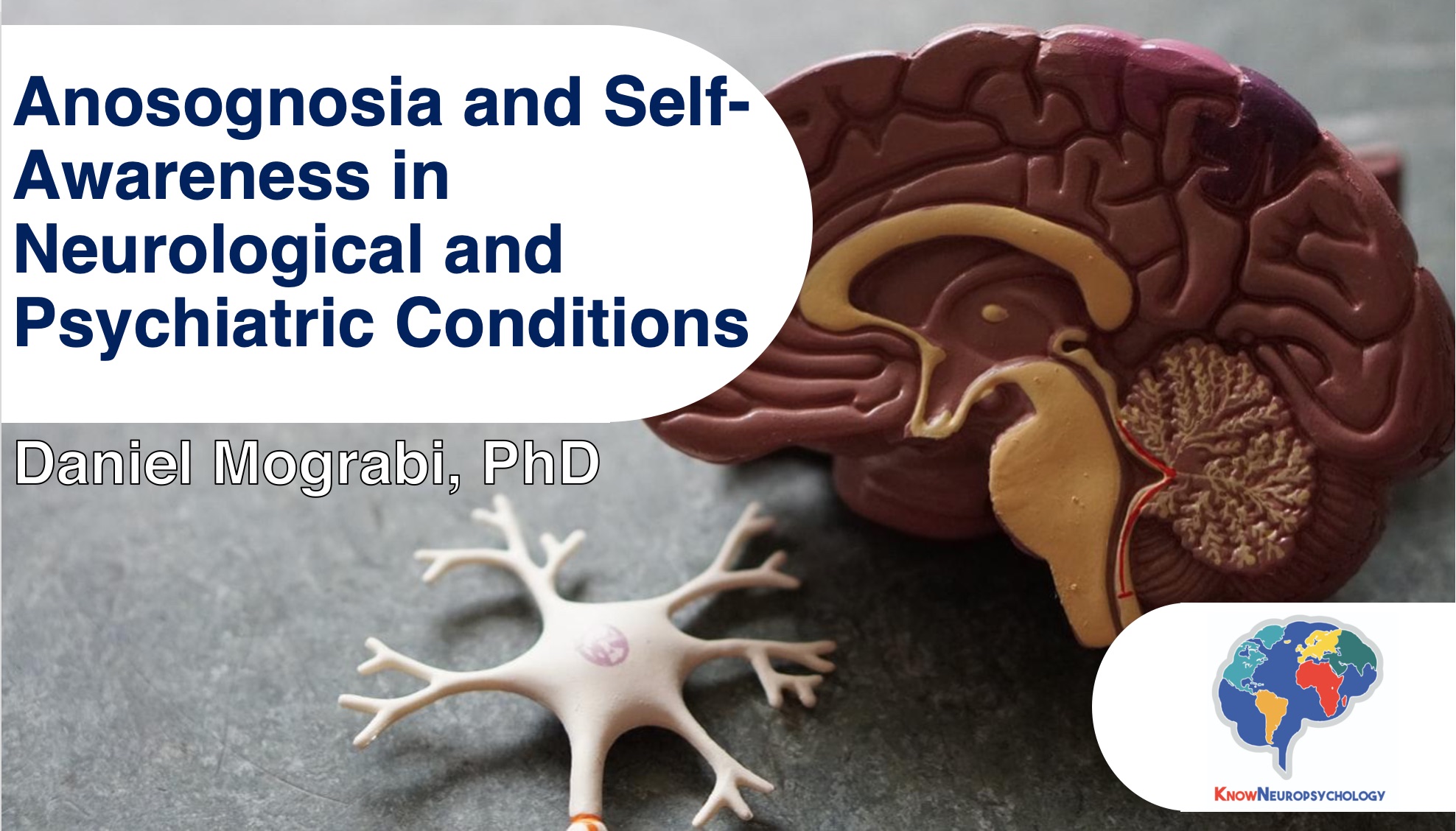 Anosognosia and Self-Awareness in Neurological and Psychiatric Conditions by Dr. Daniel Mograbi