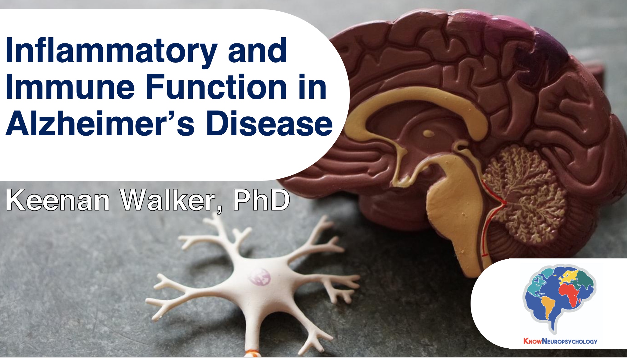 Inflammation and immune functioning in Alzheimer’s disease by Dr. Keenan Walker