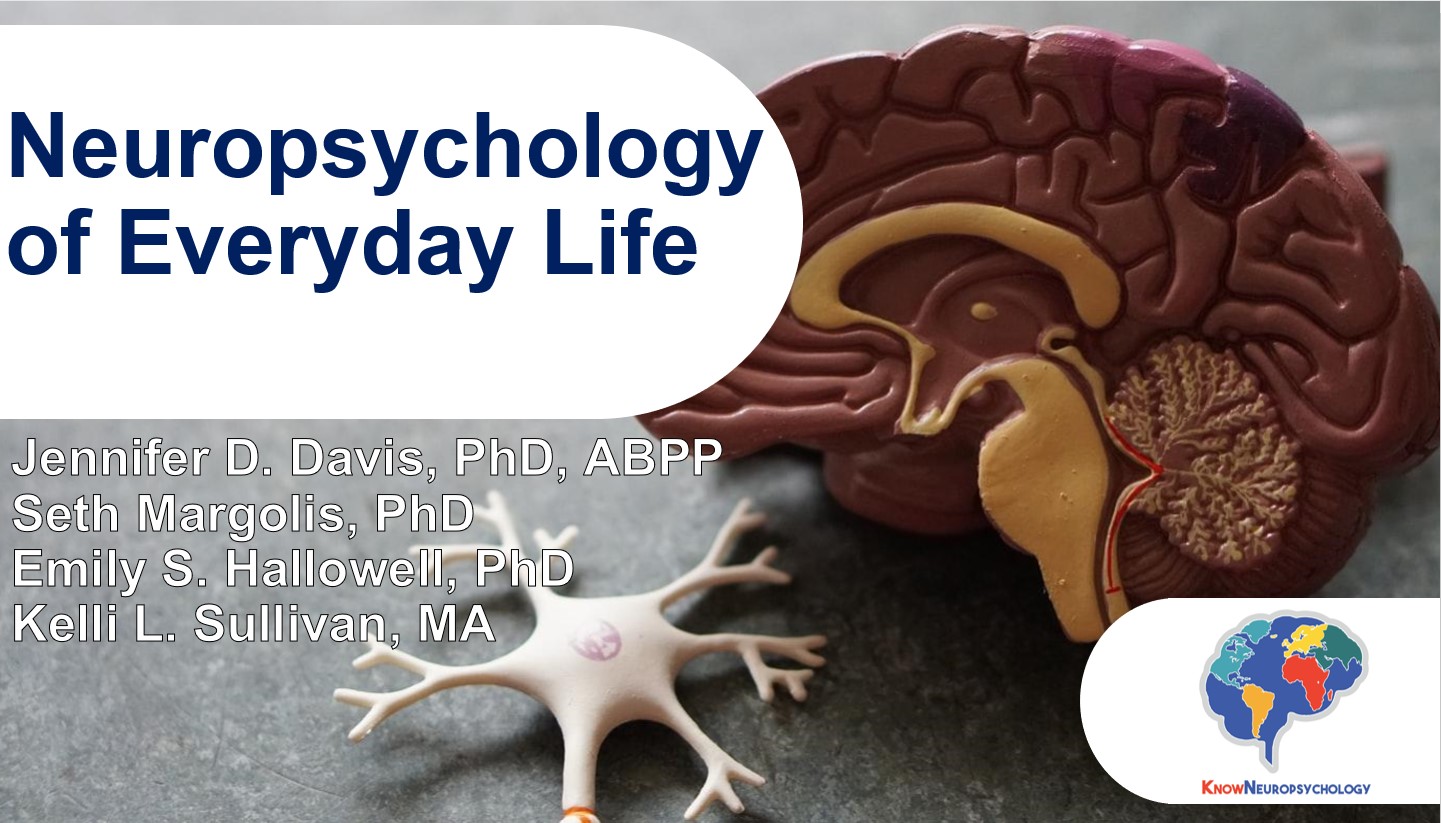 The neuropsychology of everyday life by Dr. Seth Margolis, Dr. Jennifer Davis, Dr. Emily Hallowell, and Ms. Kelli Sullivan 
