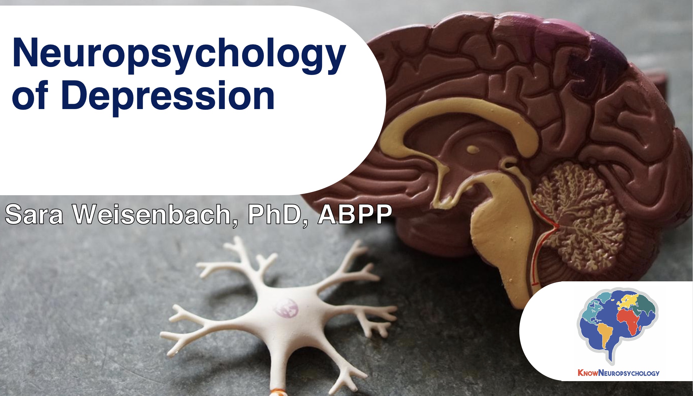 Neuropsychology of Depression with Dr. Sara Weisenbach