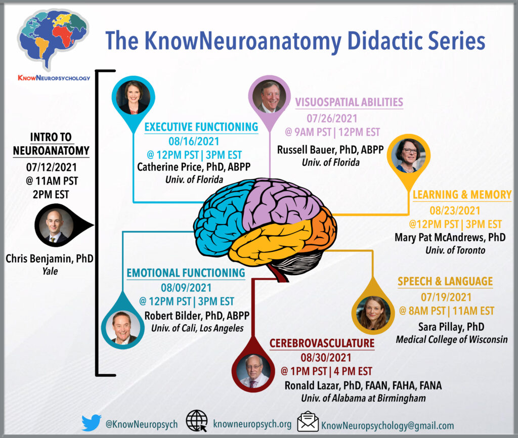 KnowNeuroanatomy Didactic Series: Monday 7/12/21 @ 2pm EST, Introduction to Neuroanatomy with Dr. Chris Benjamin. Monday 7/19/21 @11am EST, Speech and Language with Dr. Sara Pillay. Monday 7/26/21 @12pm EST, Visuospatial abilities with Dr. Russell Bauer. Monday 8/9/21 @ 3pm EST, Emotional Functioning with Dr. Robert Bilder. Monday 8/16/21, Executive functioning with Dr. Catherine Price. Monday 8/23/21 @ 3pm EST, Learning and Memory with Dr. Mary Pat McAndrews. Monday 8/30/21 @ 4pm EST, Cerebrovasculature with Dr. Ronald Lazar.