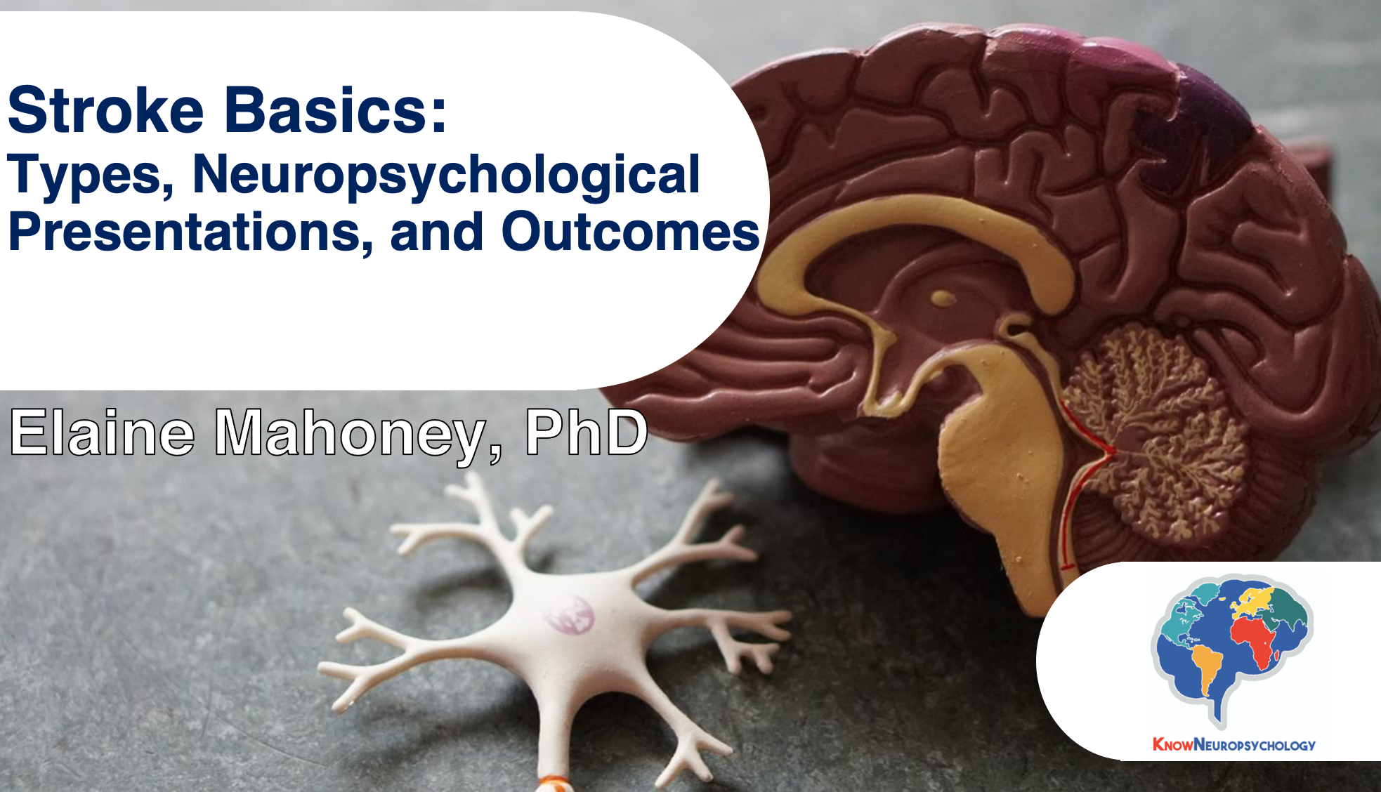 Stroke Basics: Types, Neuropsychological Presentations, and Outcomes with Dr. Elaine Mahoney
