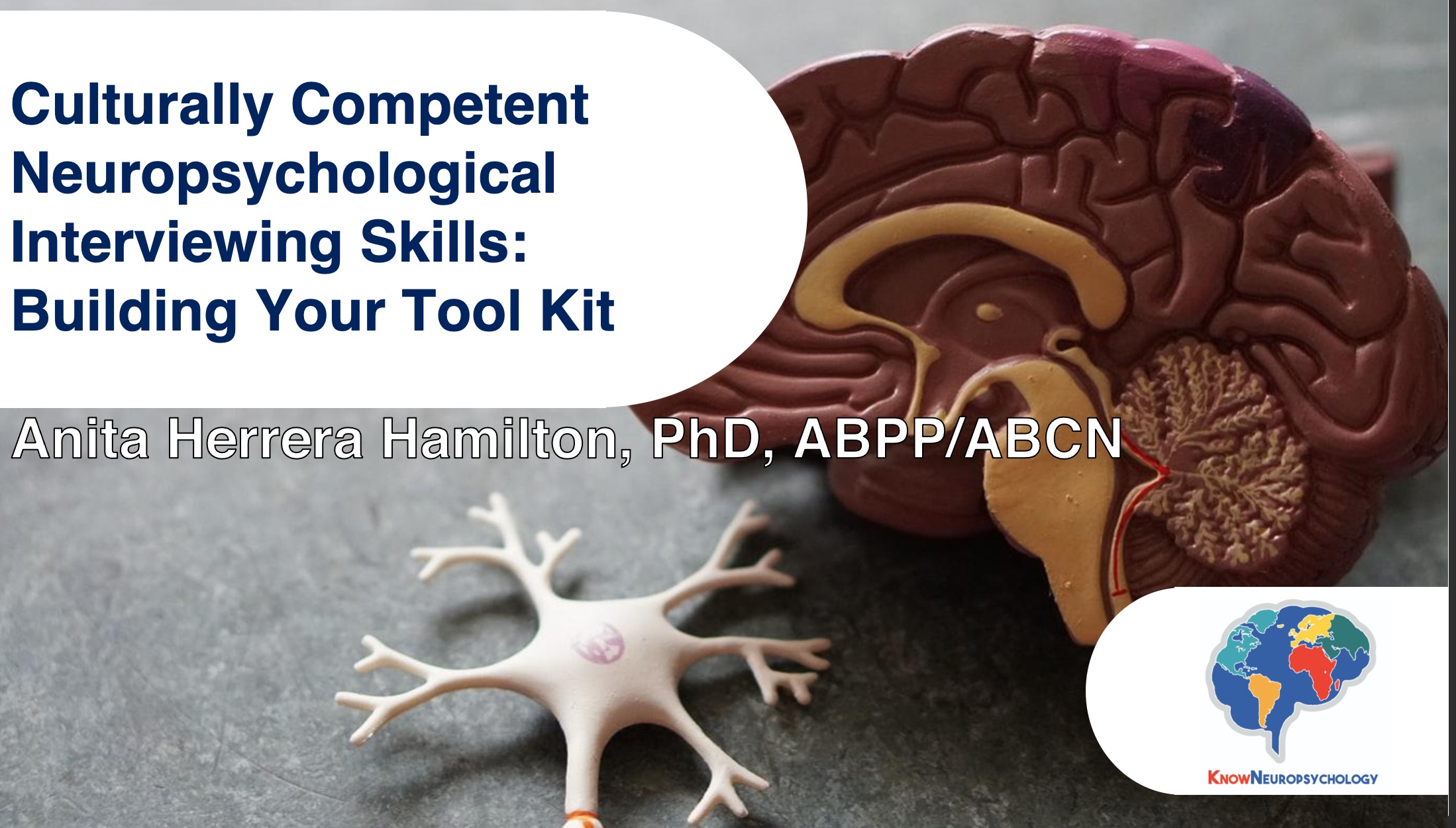 Culturally Competent Neuropsychological Interviewing Skills: Building Your Toolkit with Dr. Anita Herrera Hamilton