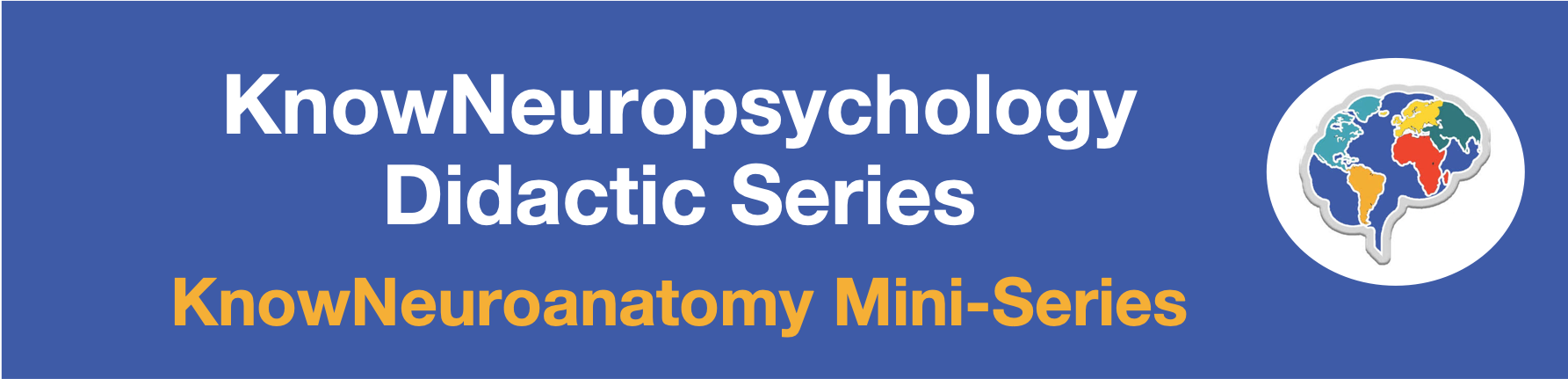 KnowNeuropsychology Didactic Series Know Neuroanatomy Mini series