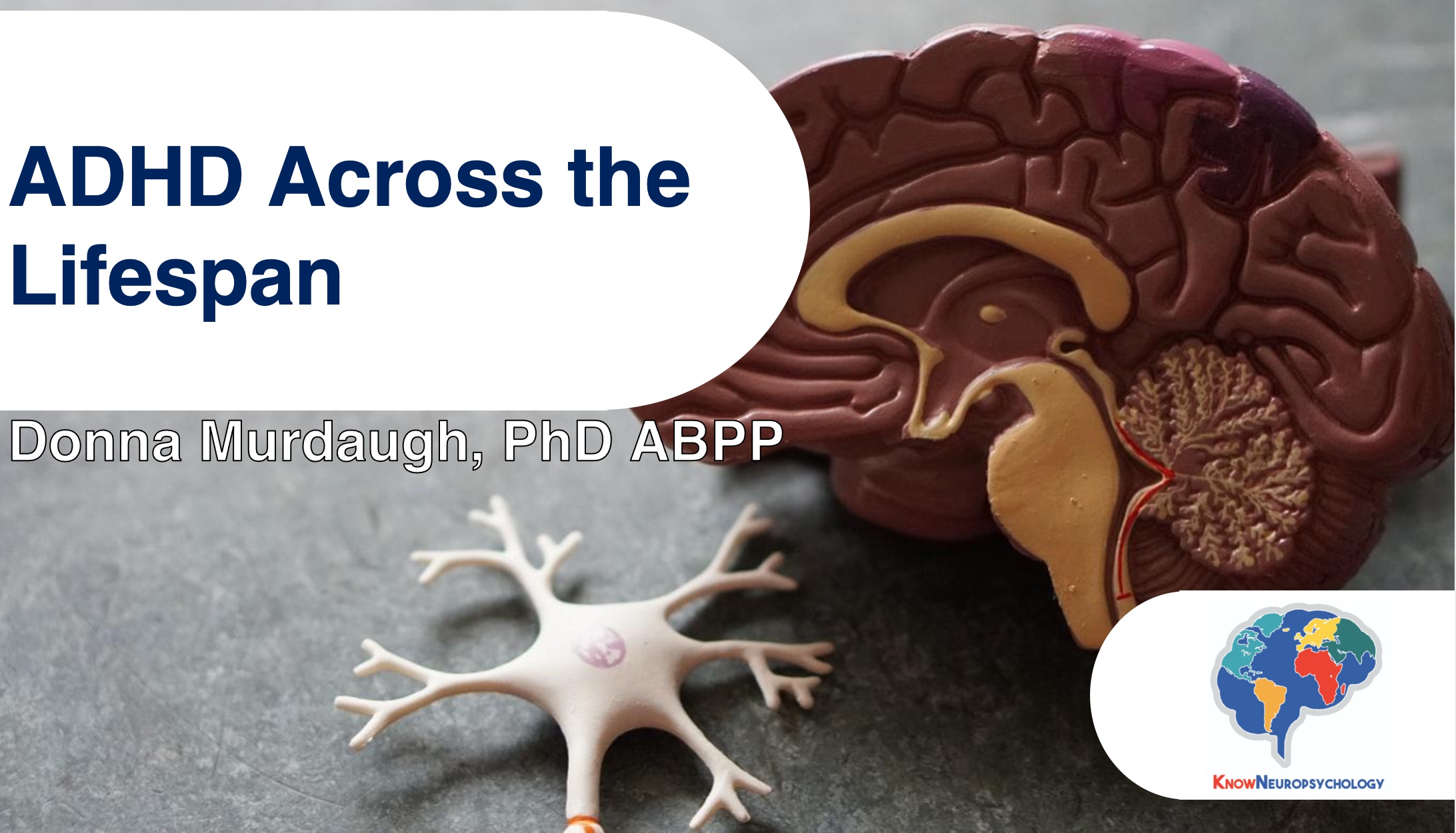 ADHD Across the Lifespan with Dr. Donna Murdaugh