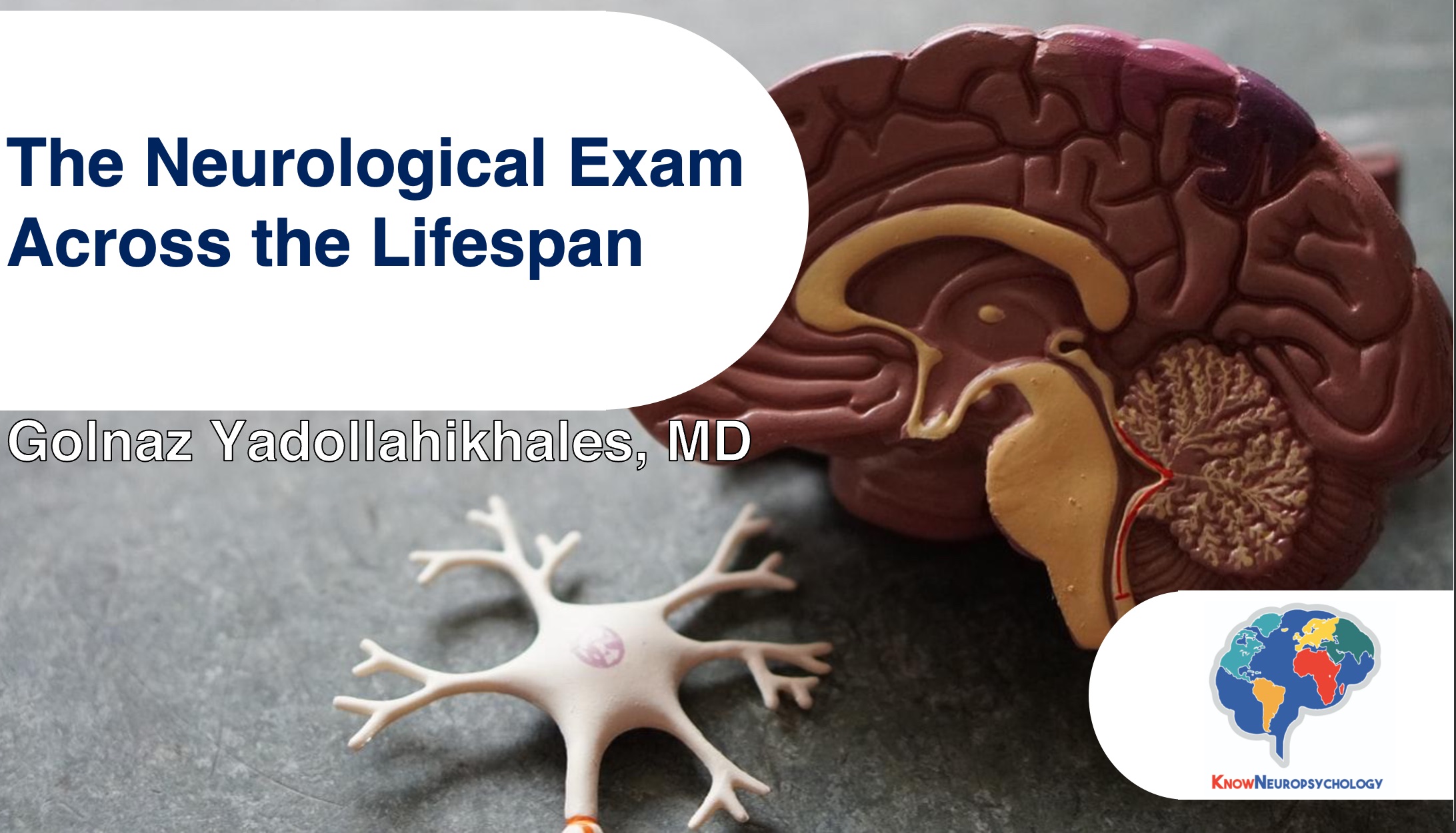 Neurological Exam Across the Lifespan with Dr. Golnaz Yadollahikhales