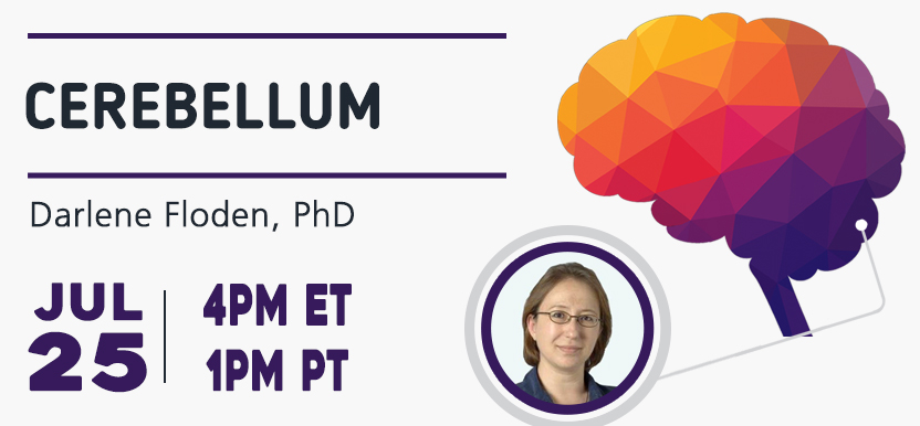 Cerebellum on Monday 7/25/2022 at 4pm EST with Dr. Darlene Floden