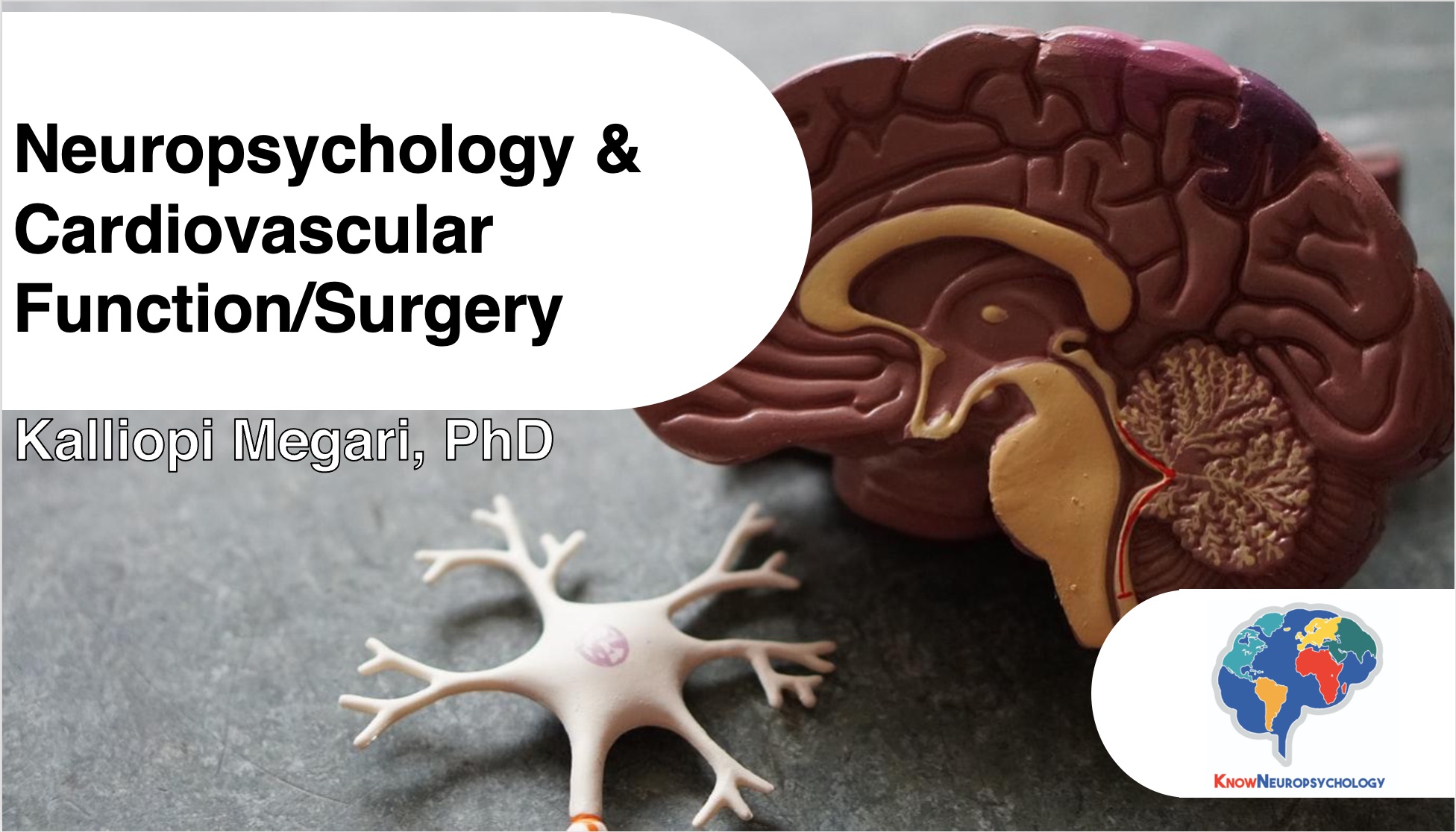 Neuropsychology & Cardiovascular Function/Surgery on Monday 10/24/2022 at 3:00pm EST with Dr. Kalliopi Megari