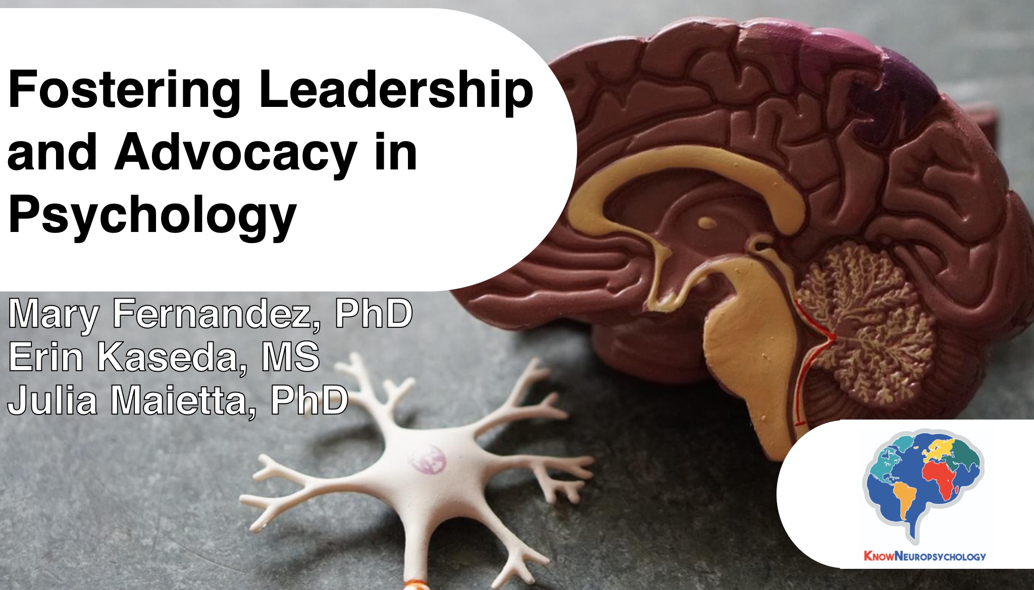 Fostering Leadership and Advocacy in Psychology with Dr. Mary Fernandez, Erin Kaseda, and Dr. Julia Maietta