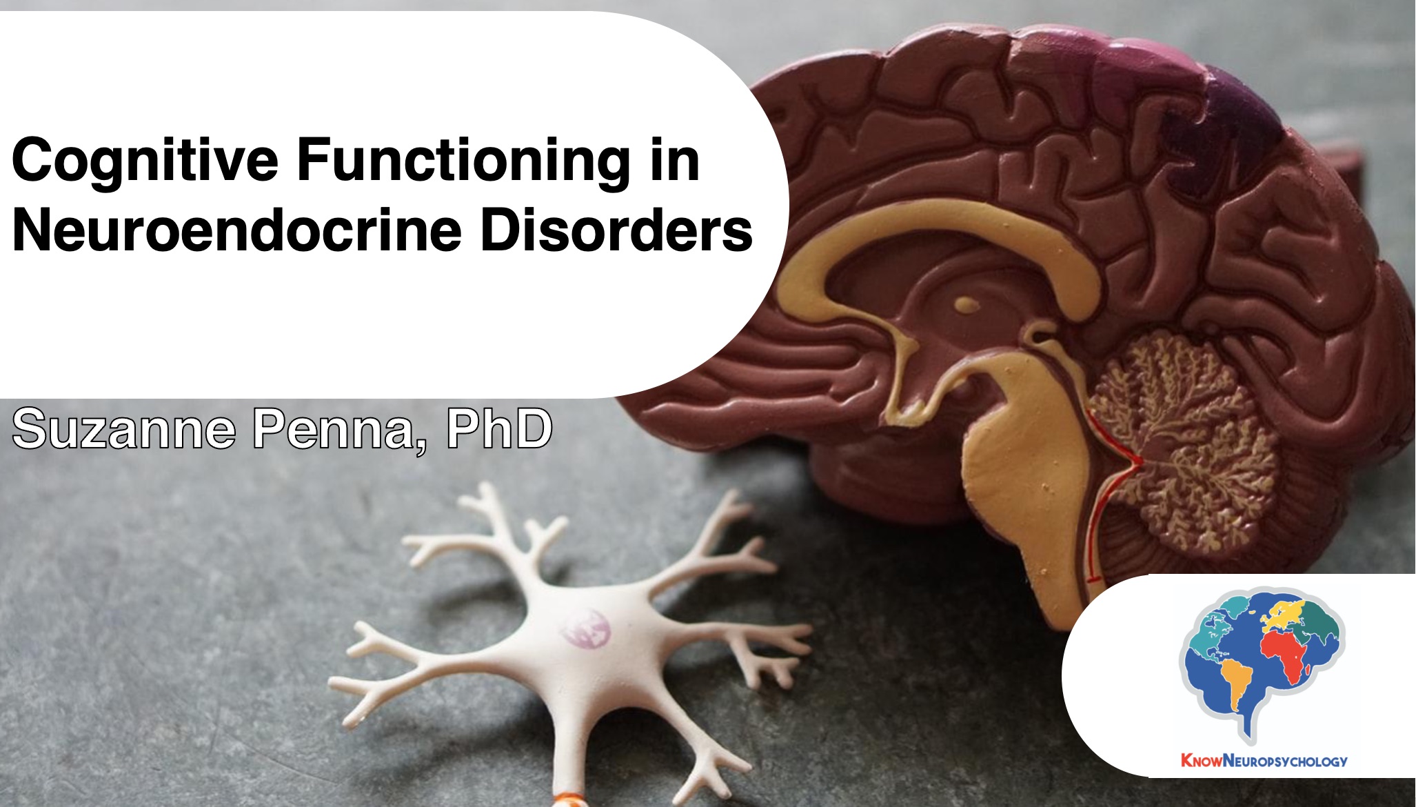 Cognitive Functioning in Neuroendocrine Disorders with Dr. Suzanne Penna