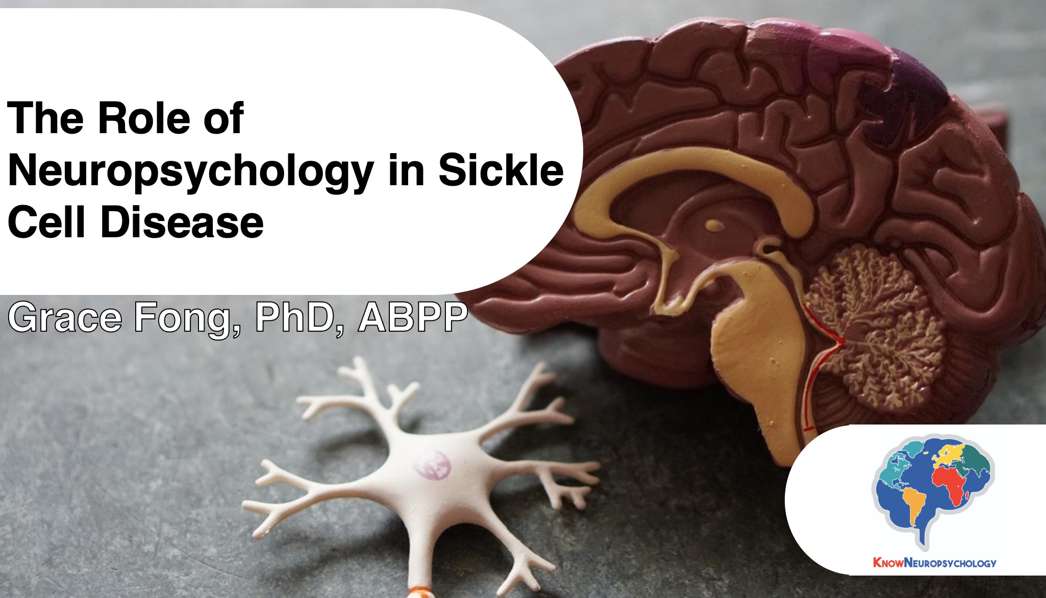 The Role of Neuropsychology in Sickle Cell Disease with Dr. Grace Fong